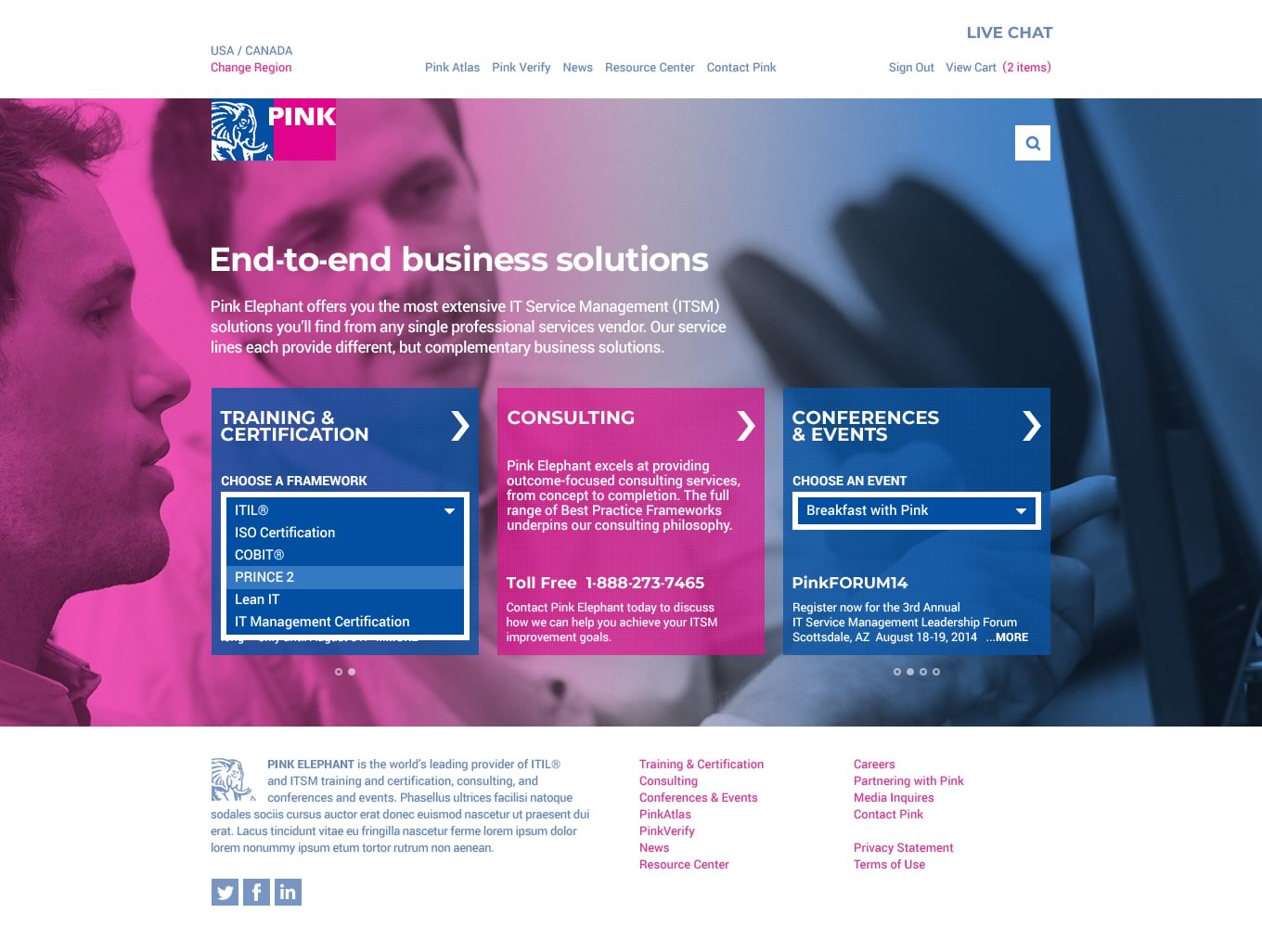 Capture of the full homepage from the Pink Elephant website