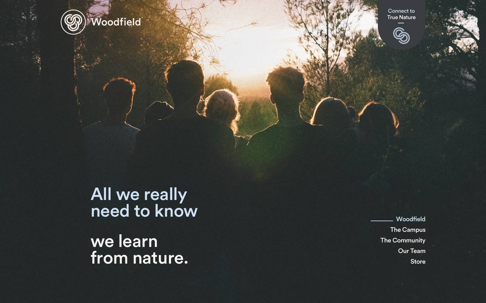 Capture illustrating the Woodfield site navigation as hidden